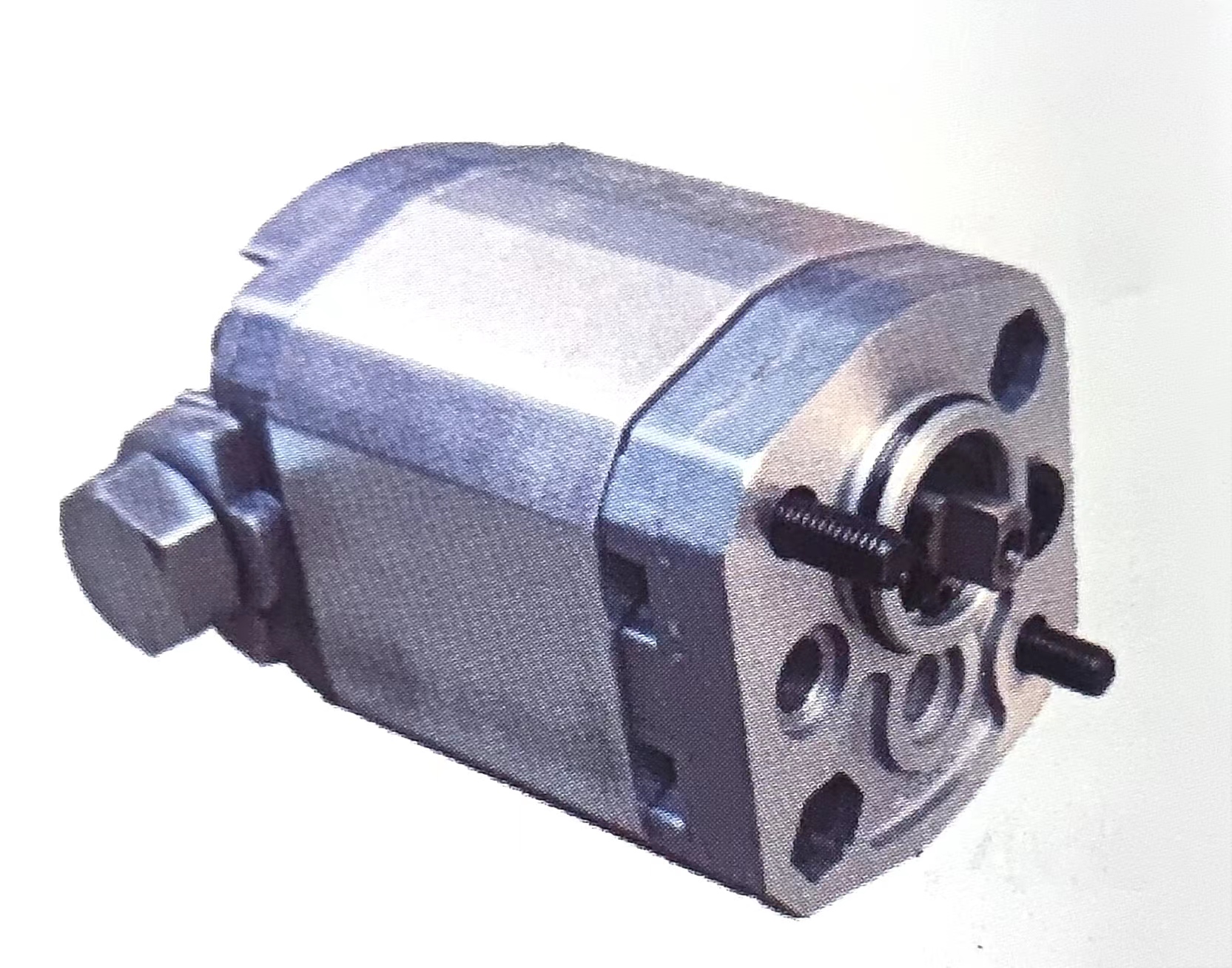 17Bidirectional micro gear pump